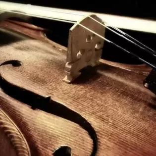 Violin Day 